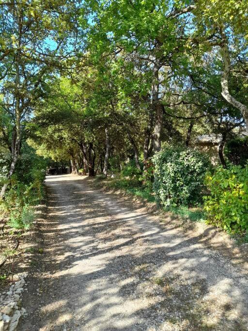 Villa Le Bosquet En Luberon. Ménerbes Exteriör bild