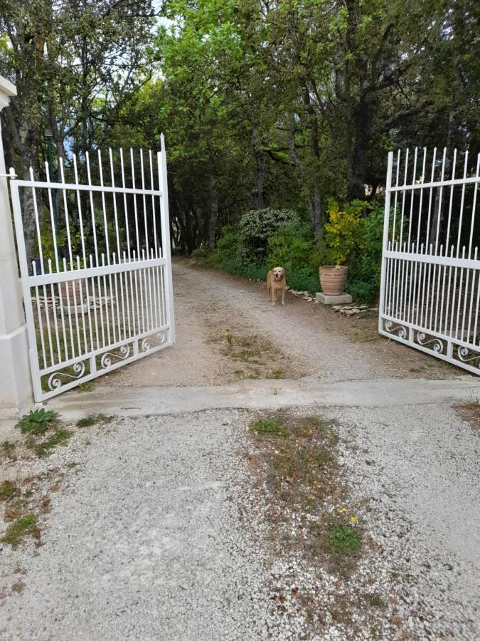 Villa Le Bosquet En Luberon. Ménerbes Exteriör bild